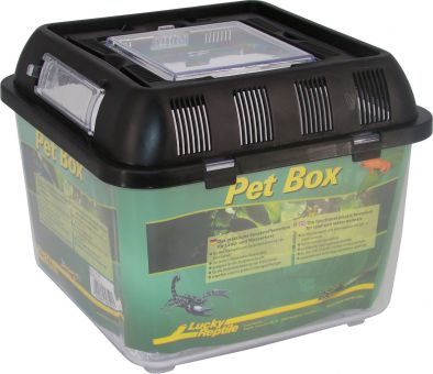 Lucky Reptile Pet Box klein, ca. 20,5x20,5x17 cm