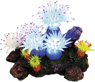 Nobby Aqua Ornaments  APLYSINA  mit Pflanzen, mit LED 16,5 x 12,0 x 11,0 cm 