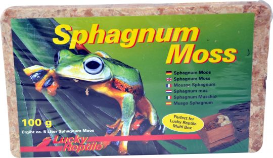 Lucky Reptile Sphagnum Moos 100 g