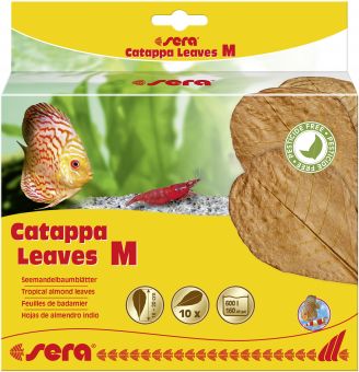 sera Catappa Leaves, M, 16 – 20 cm 