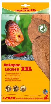 sera Catappa Leaves, XXL, 30 – 35 cm 