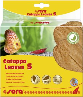 sera Catappa Leaves, S, 10 – 15 cm 