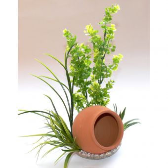Sydeco Jar Plant, 35 cm high 